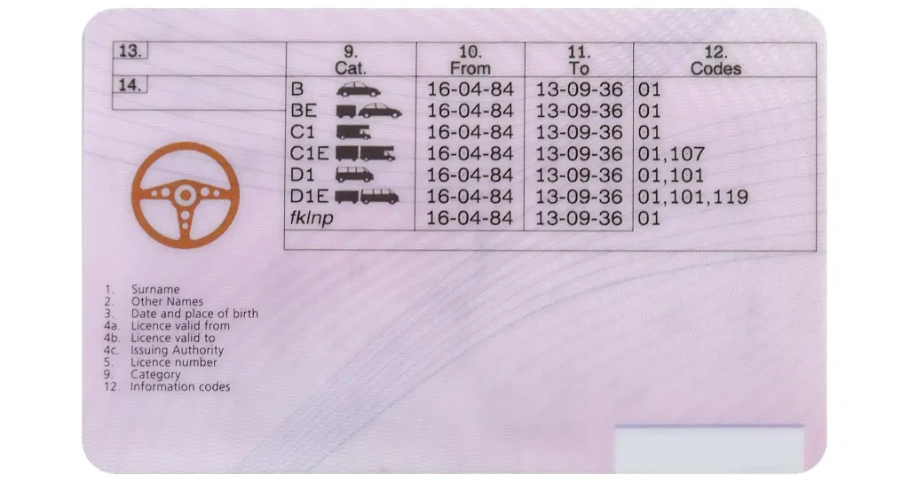 driving licence codes