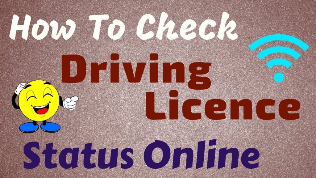 dvla check code