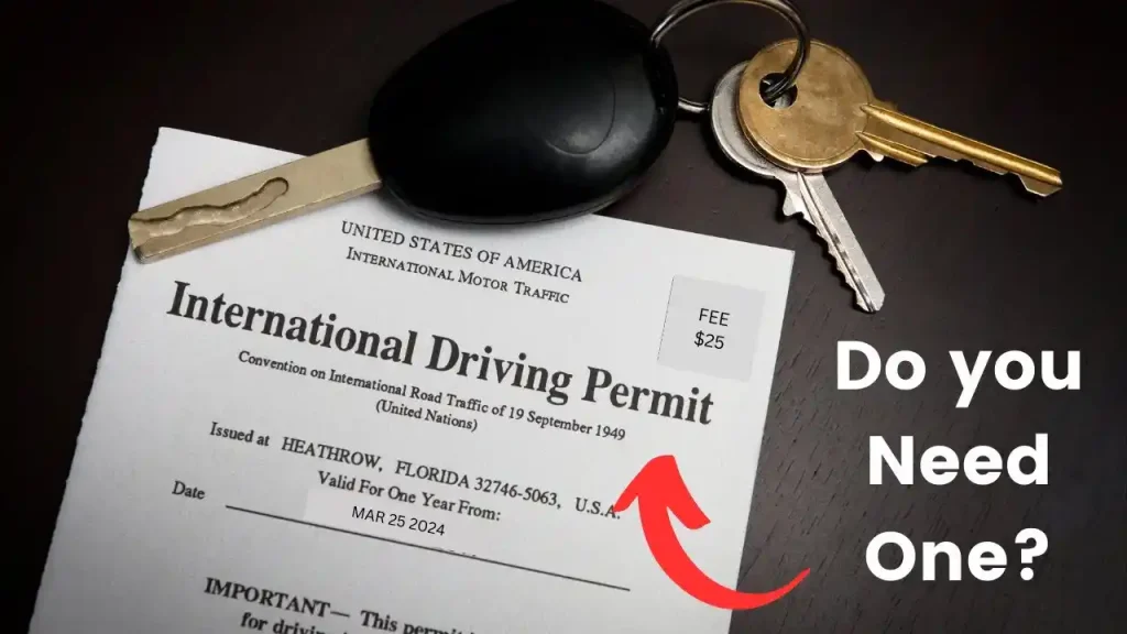 international driving permit