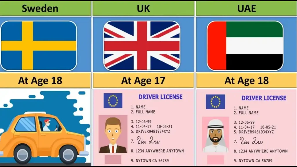 category b driving licence