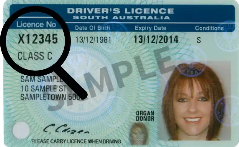 driving licence number