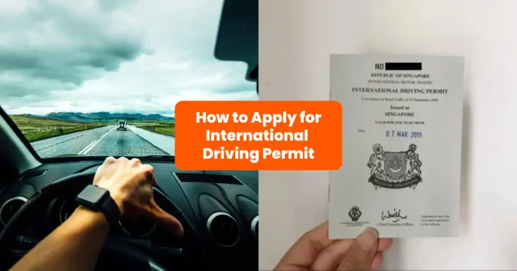 international driving license