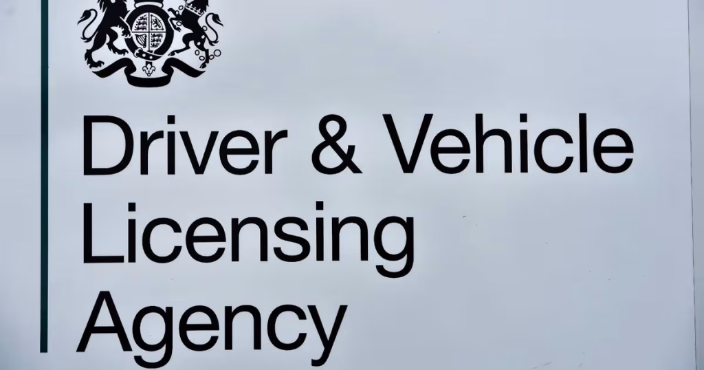 what does a medical driving licence look like