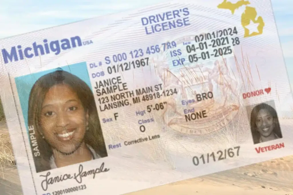 what to do with old driving licence