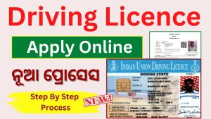 apply for driving licence after ban online