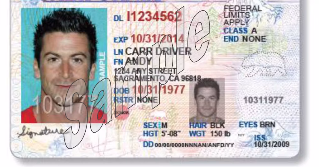 Driving Licence Without a Test